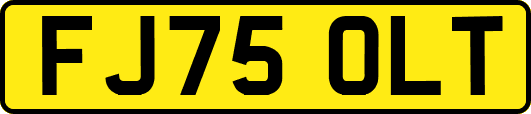 FJ75OLT