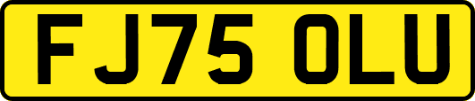 FJ75OLU