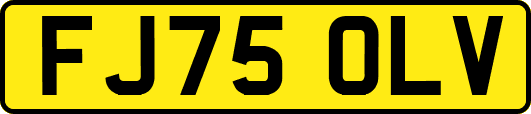 FJ75OLV