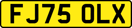 FJ75OLX