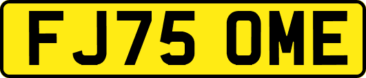 FJ75OME