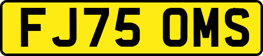 FJ75OMS