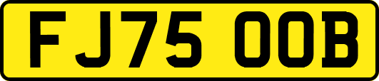 FJ75OOB