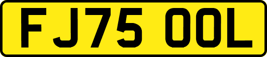 FJ75OOL