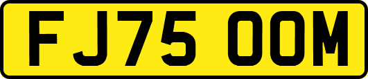 FJ75OOM
