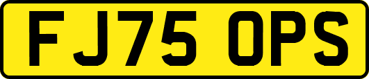 FJ75OPS