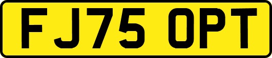 FJ75OPT