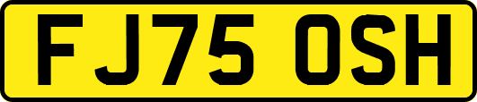 FJ75OSH