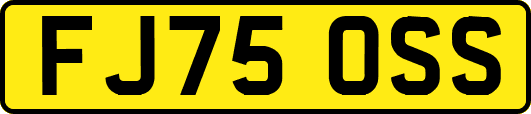 FJ75OSS
