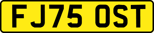 FJ75OST