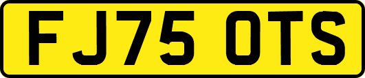 FJ75OTS