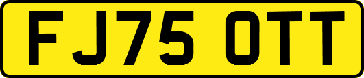 FJ75OTT