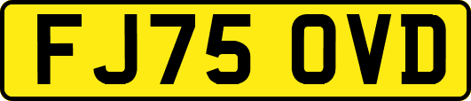 FJ75OVD