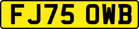 FJ75OWB
