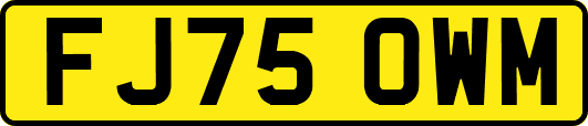 FJ75OWM