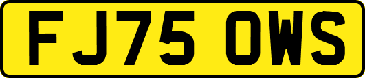 FJ75OWS
