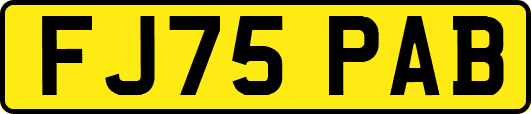 FJ75PAB