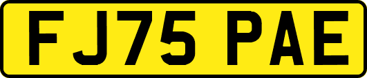 FJ75PAE