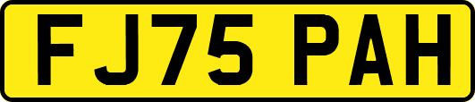 FJ75PAH