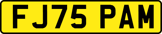 FJ75PAM