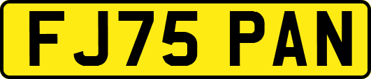FJ75PAN
