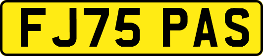 FJ75PAS