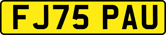 FJ75PAU