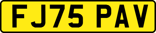 FJ75PAV