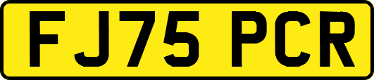 FJ75PCR