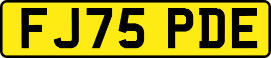 FJ75PDE