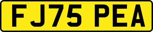 FJ75PEA