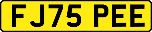 FJ75PEE