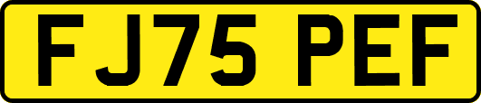 FJ75PEF