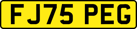 FJ75PEG