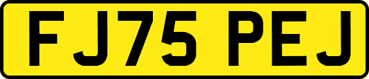 FJ75PEJ