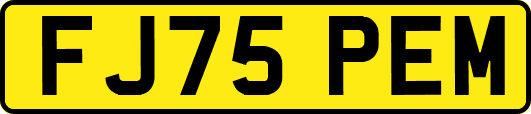 FJ75PEM