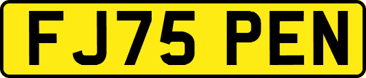 FJ75PEN