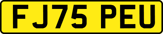 FJ75PEU