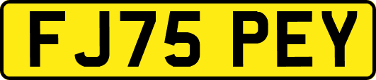 FJ75PEY