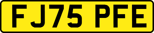 FJ75PFE
