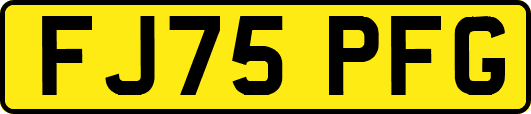 FJ75PFG