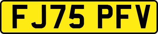 FJ75PFV