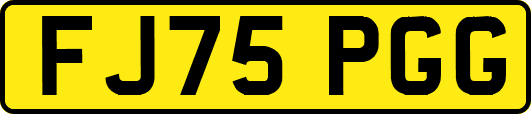 FJ75PGG