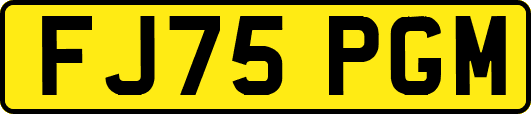 FJ75PGM