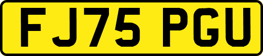 FJ75PGU