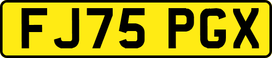 FJ75PGX