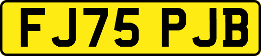 FJ75PJB