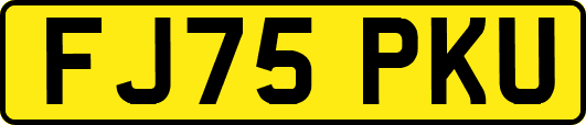 FJ75PKU