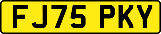 FJ75PKY