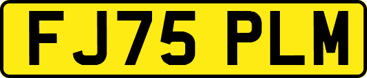 FJ75PLM